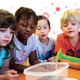 pacifica montessori|Pacifica Montessori School (Top Ranked Private School for 2024 .